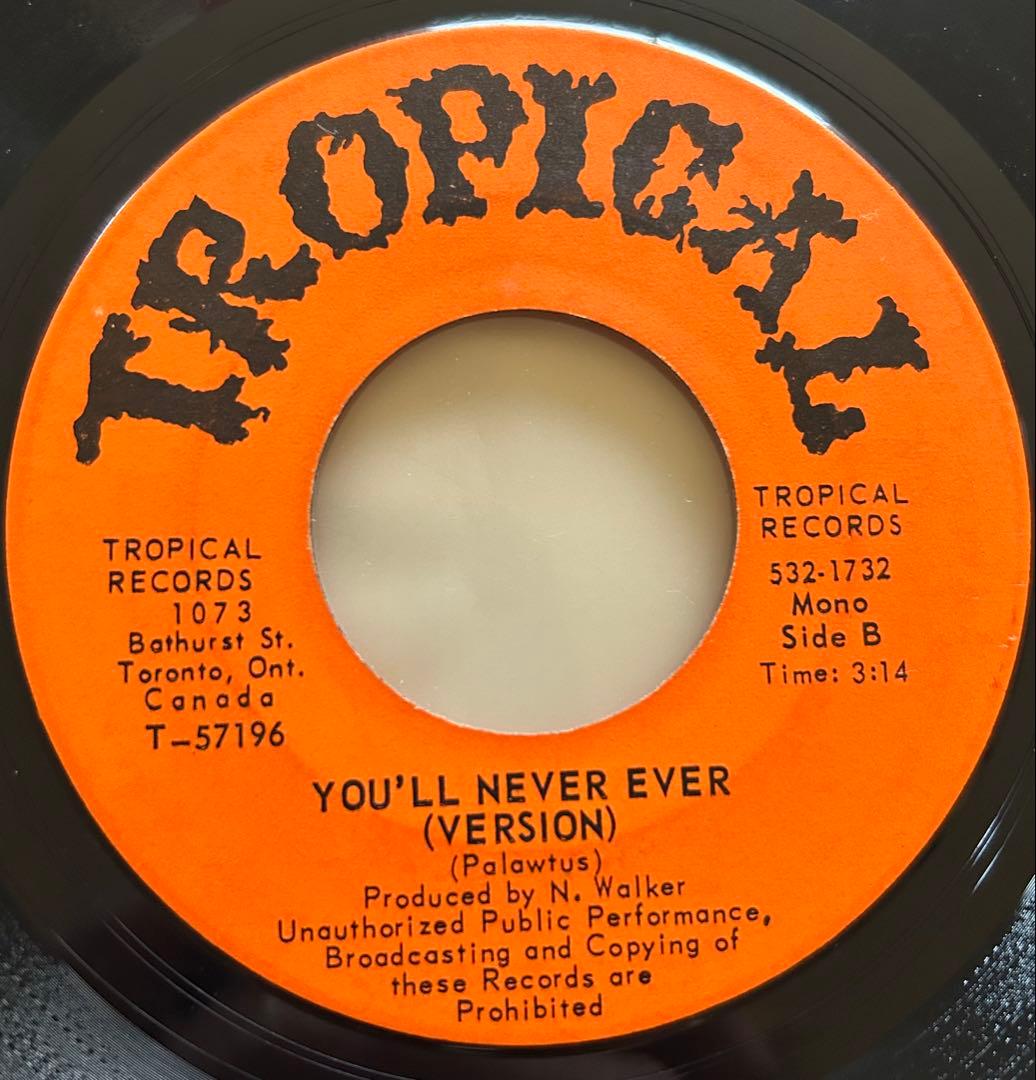 Palawtus / You'll Never Ever レゲエ　funk