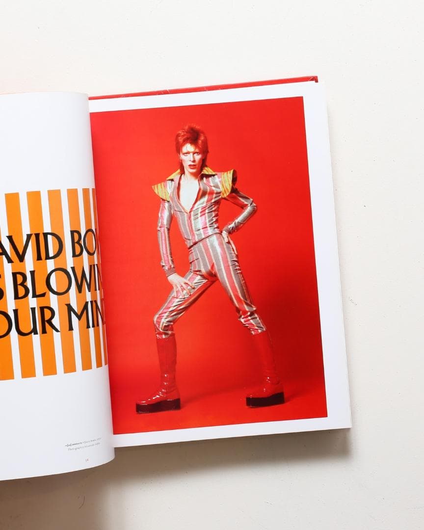 【絶版・新品未開封】デヴィッドボウイ David Bowie is Inside