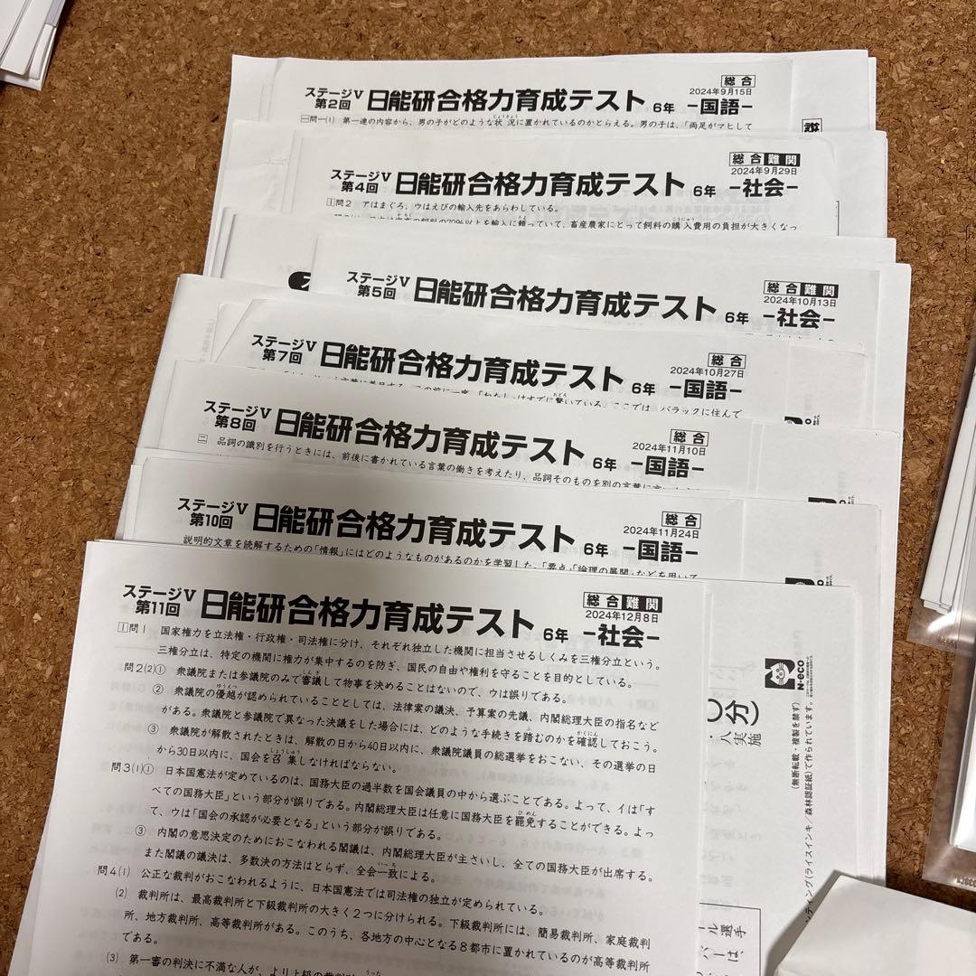 日能研　6年生 後期　合格力育成テスト　合格力実践テスト　計12回分