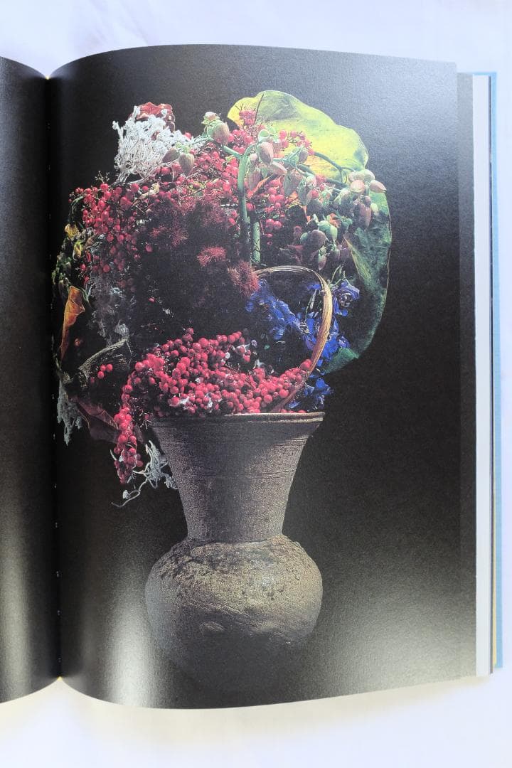 中川幸夫 (Yukio Nakagawa) 作品写真集 魔の山
