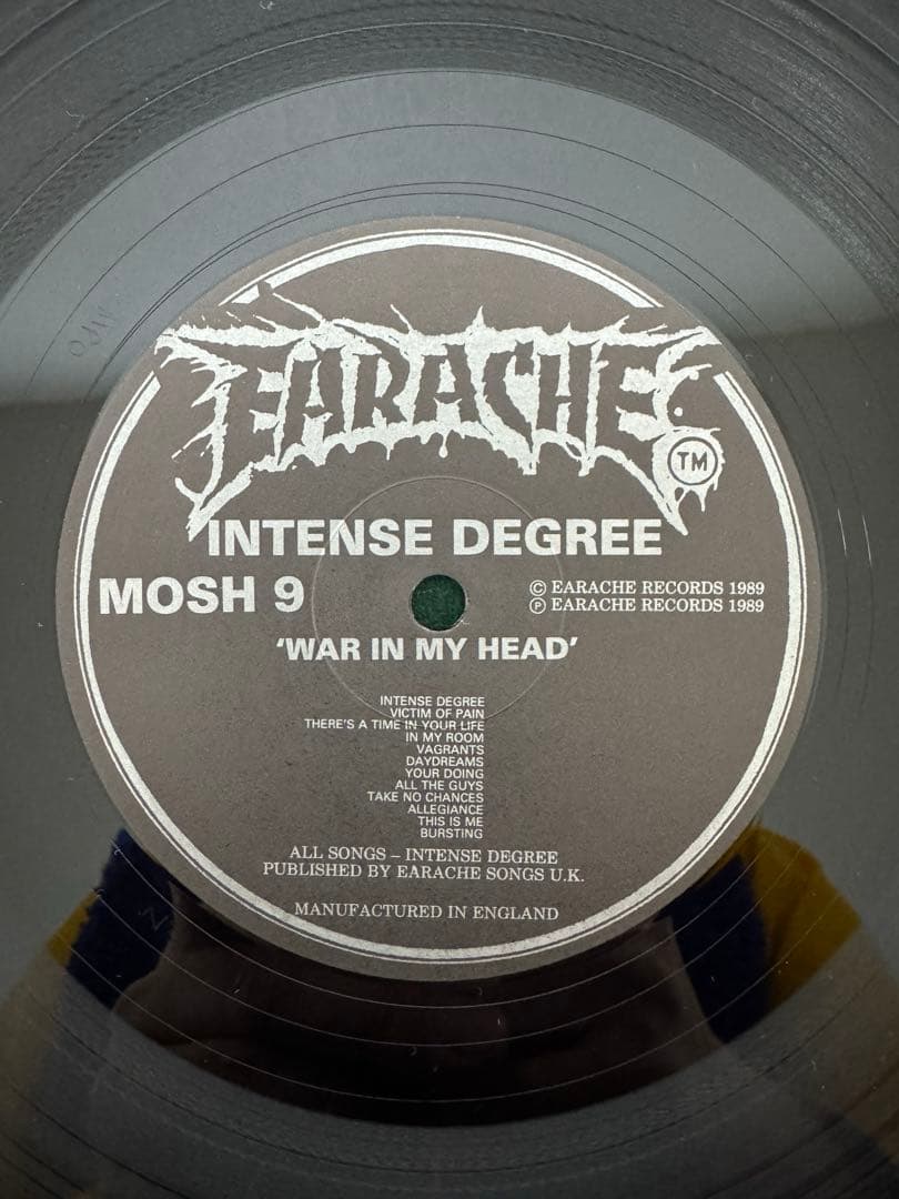 INTENSE DEGREE レコード　美品