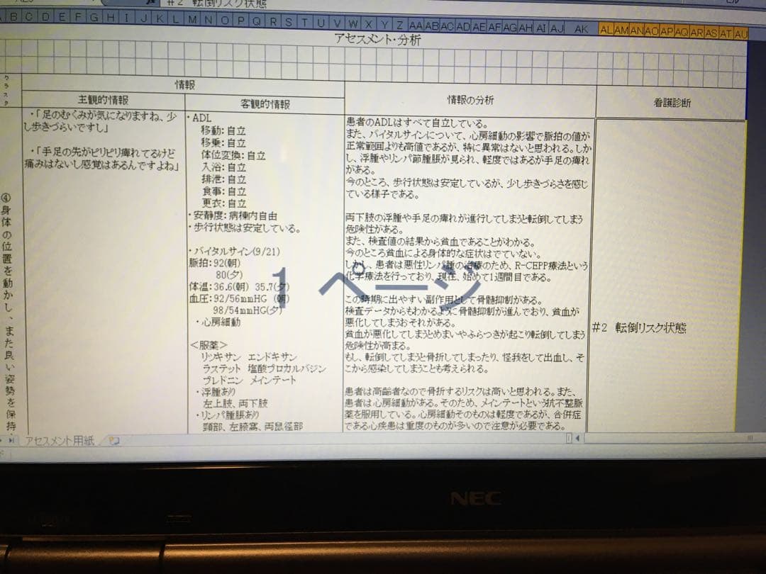 専用 看護計画 看護実習 看護学生 看護学校 実習記録 国試 アセスメント 資料