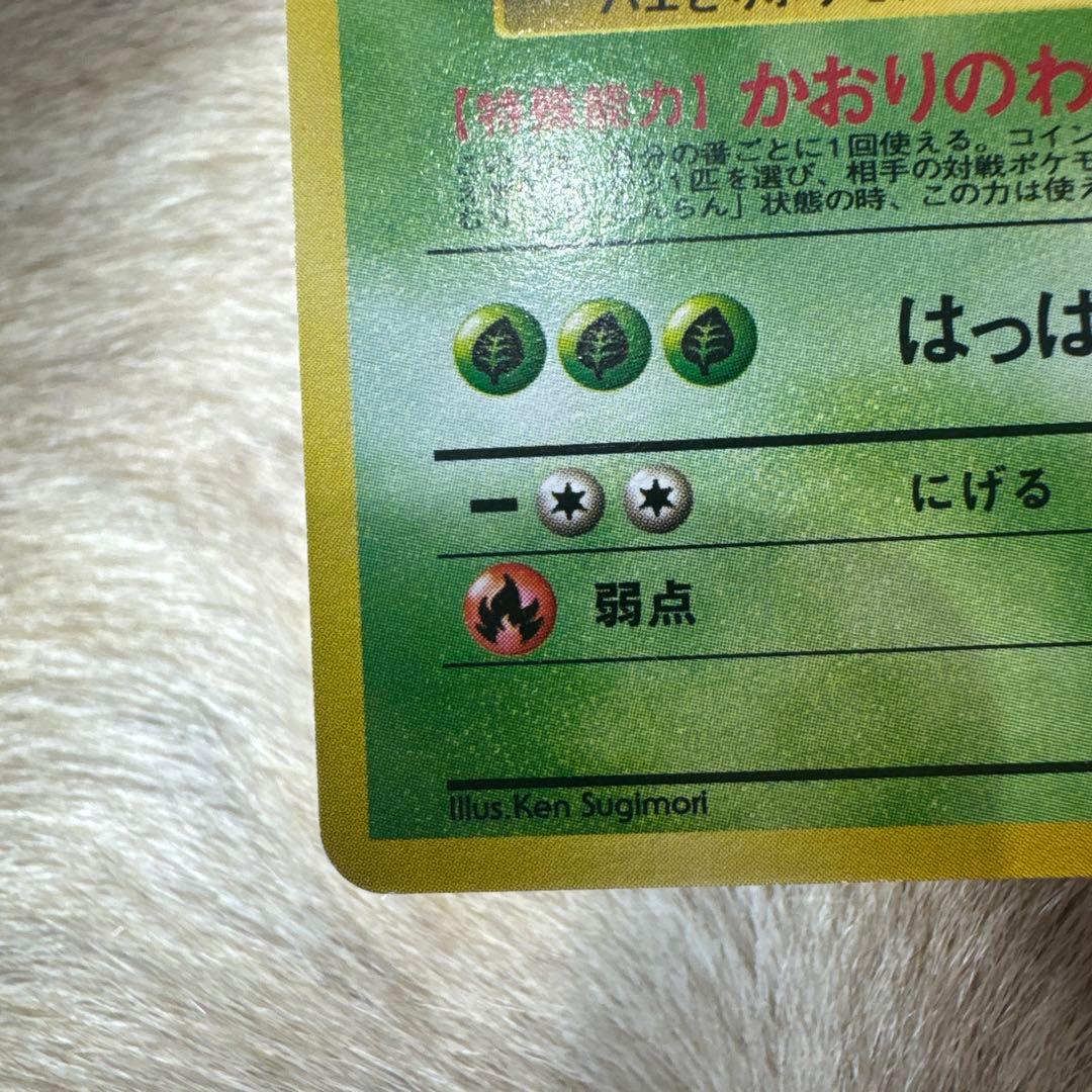 エリカのウツボット ポケモンジム第2弾 タマムシシティジム エリカ