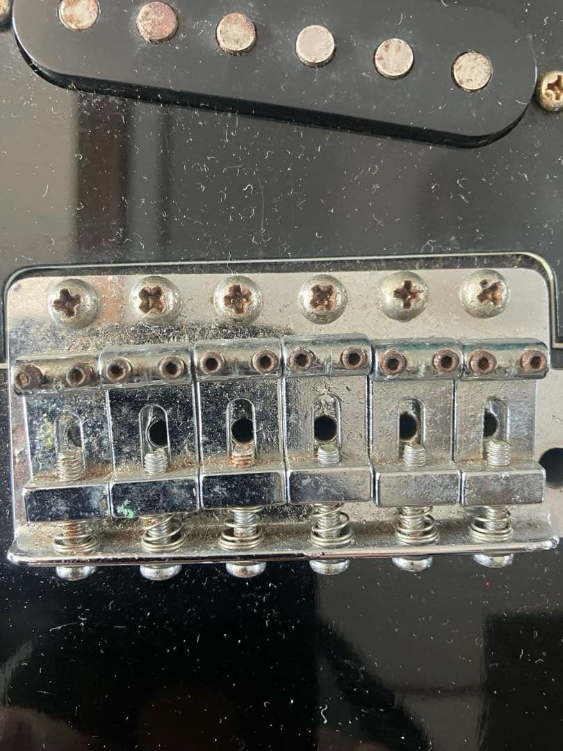 TOKAI SILVER STAR ソフトケース付き