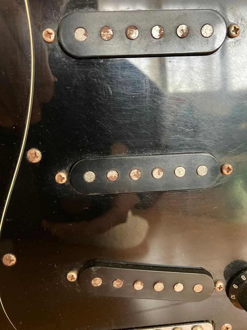TOKAI SILVER STAR ソフトケース付き