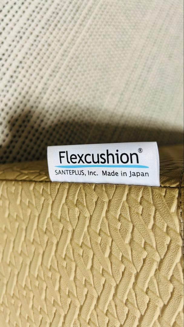 サンテプラス　フレックスクッション　Flexcushionベージュ