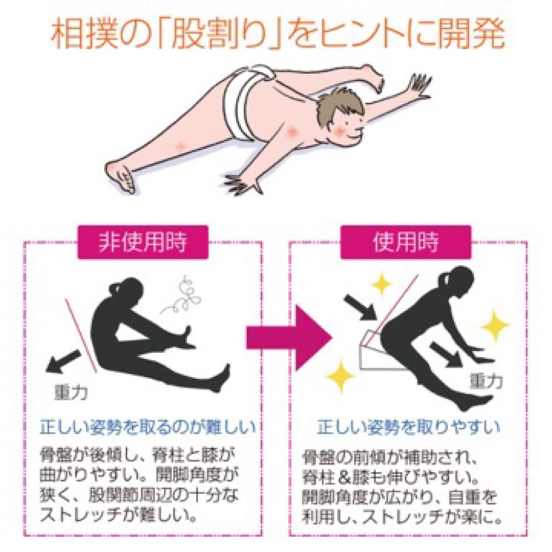 サンテプラス　フレックスクッション　Flexcushionベージュ