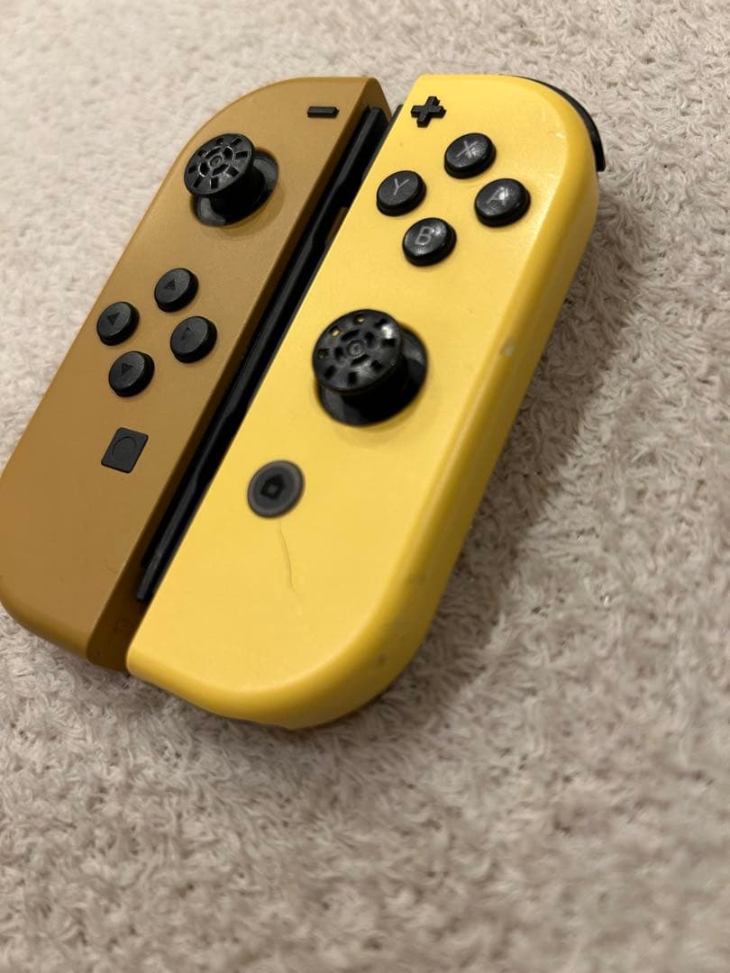 NINTENDO SWITCH ポケモン