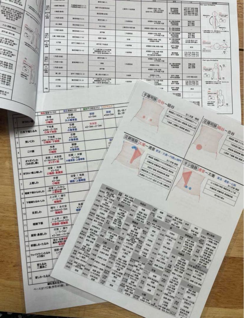 【全6点セット】臨床用早見表(筋肉・美容鍼・奇経八脈・腹診・ツボ)etc