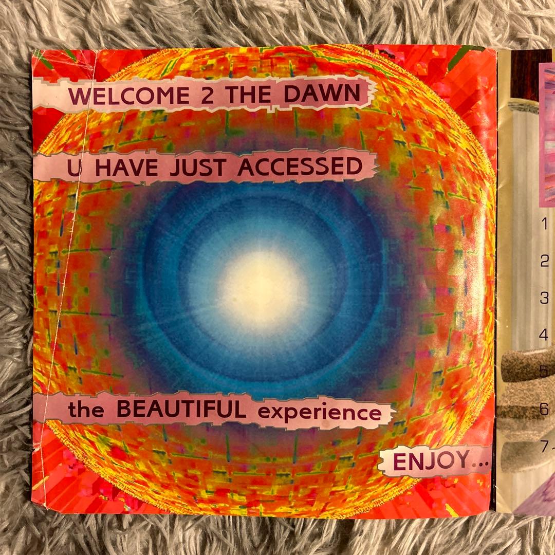 プリンスThe Beautiful Experience U.S 12\"