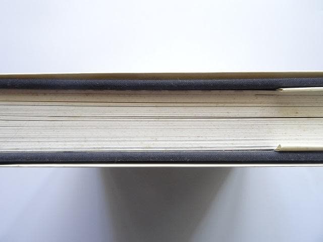 洋書◆ドーアンチャイ画集 作品写真集 本 絵画 ブーハン・チャヒト