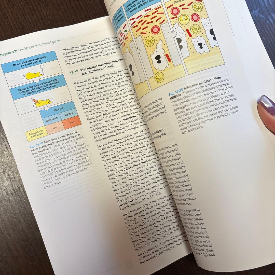 医学書　Janeway’s Immunobiology 9th edition