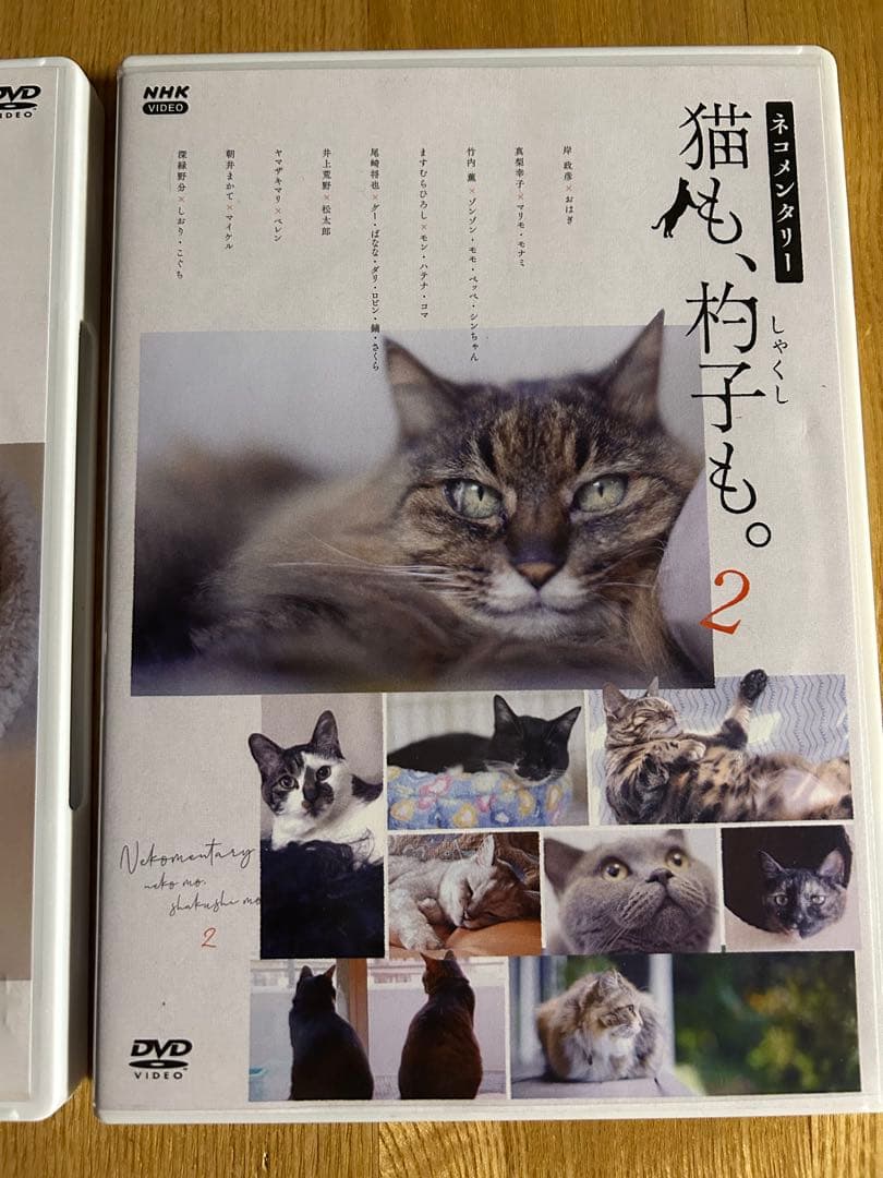 ネコメンタリー　猫も、杓子も。　2枚セット