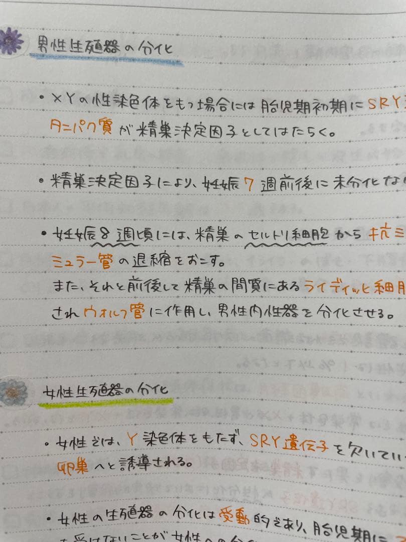 ゆりページ　助産師学校受験対策　まとめノート