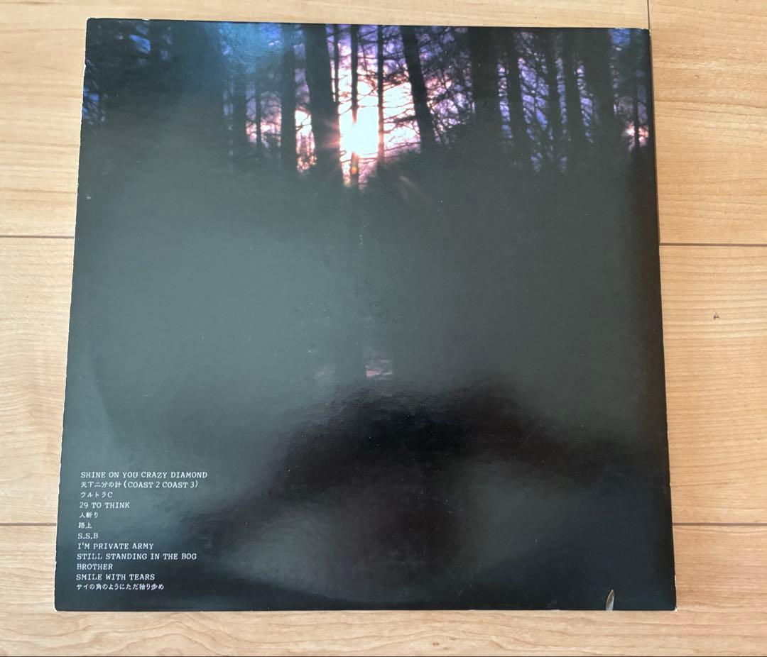 THE BLUE HERB☆LP