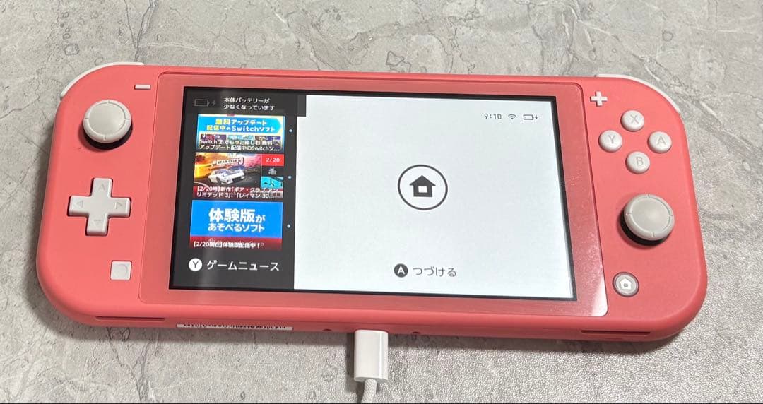 SwitchLite ピンク あつまれどうぶつの森ソフト セット