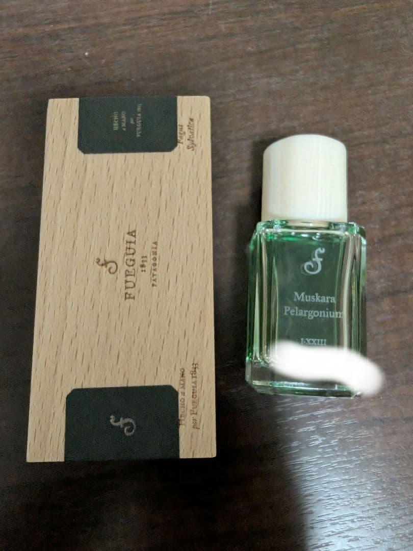Fugue Muskara Pelargonium ムスカラペラルゴニウム