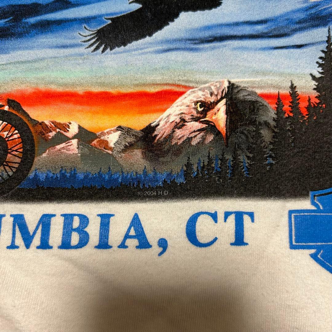 Harley-Davidson00sメキシコ製長袖Tシャツイーグルフレイム両面炎