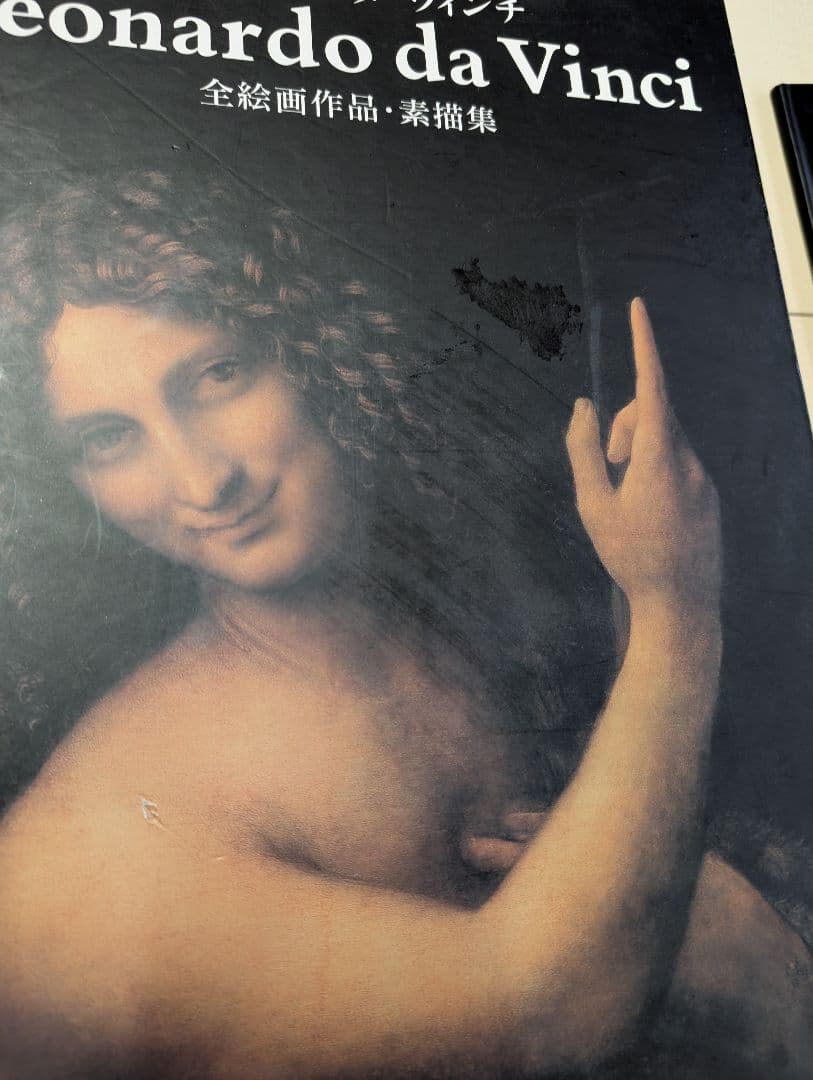 レオナルド・ダヴィンチ 全絵画作品・素描集　TASCHEN　da vinci