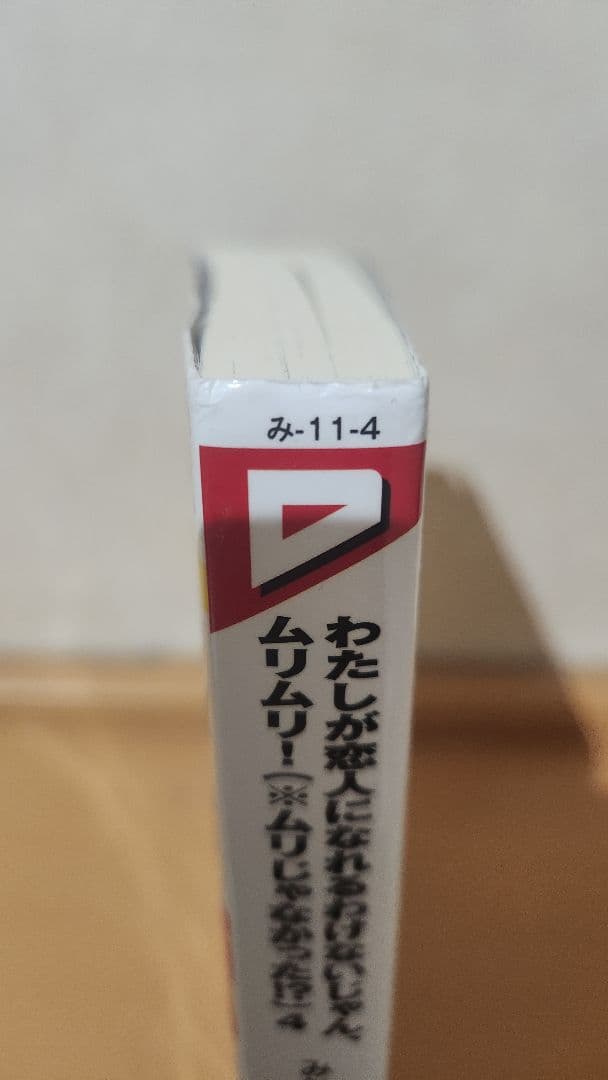 わたしが恋人になれるわけないじゃん