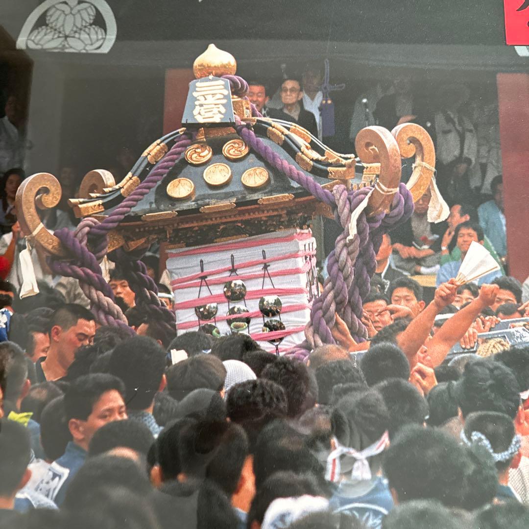 三社祭　浅草　宮出し　平成9年　入手困難