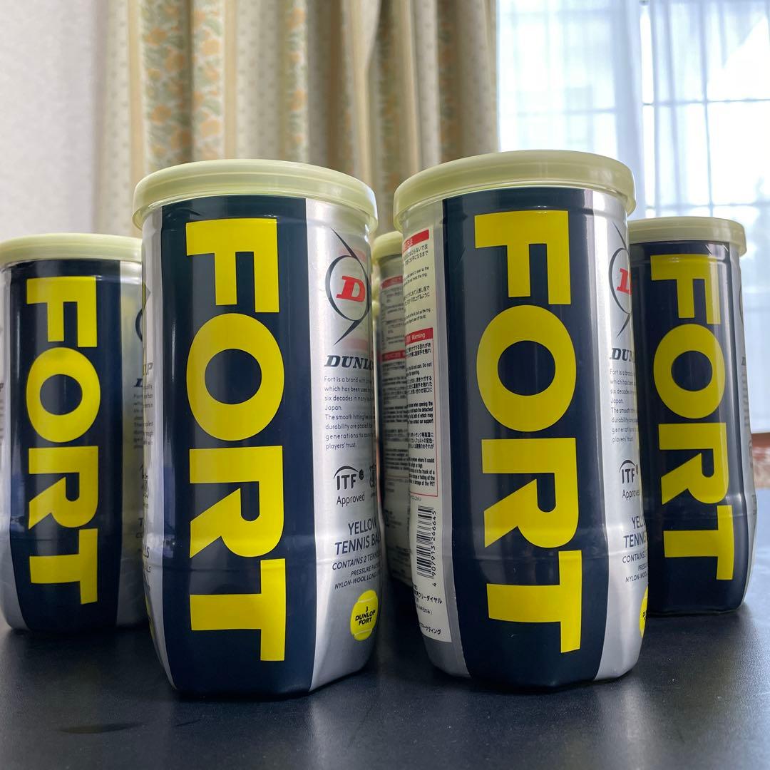 DUNLOP Fort テニスボール