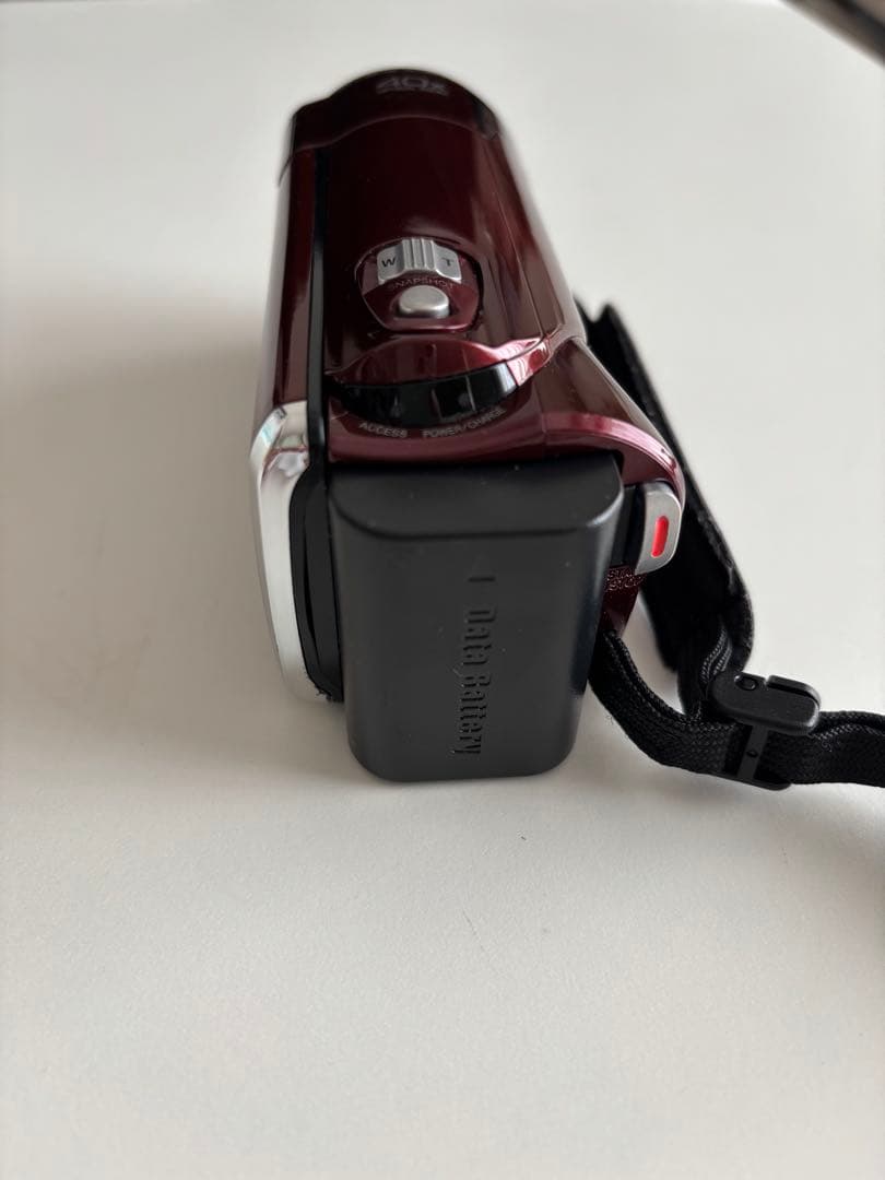 JVCケンウッド Everio GZ-HM190-R 動作品
