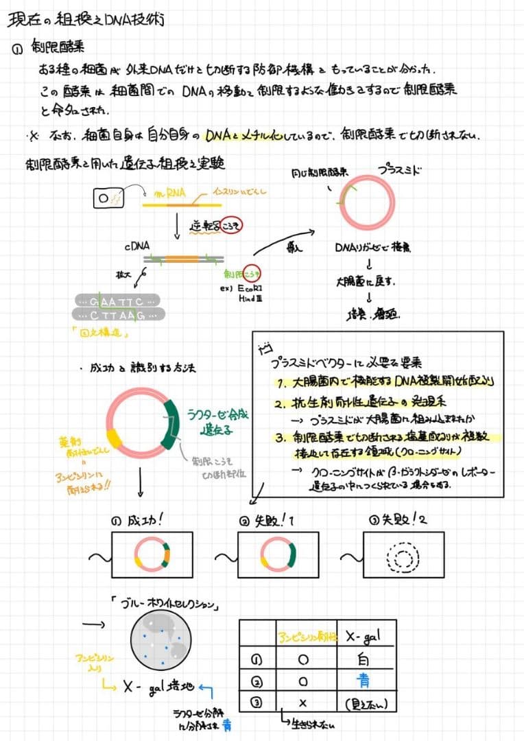 エッセンシャル細胞生物学 自作問題集