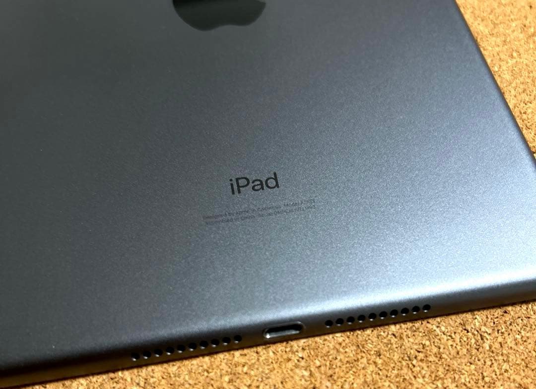 iPad mini5 第5世代 64GB (30)