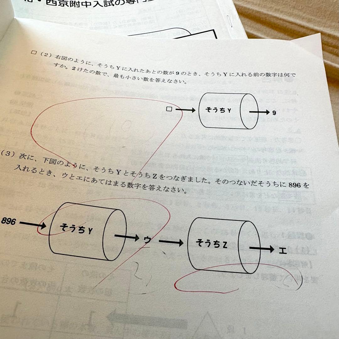 洛北・西京　洛ゼミ　テーマ別特訓　夏期集中ゼミ　全44点