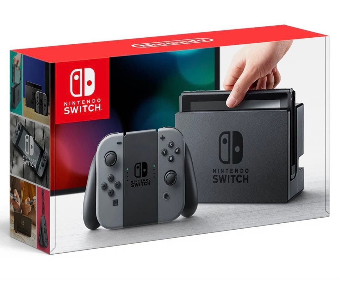 Nintendo Switch グレー本体 (ニンテンドースイッチ)