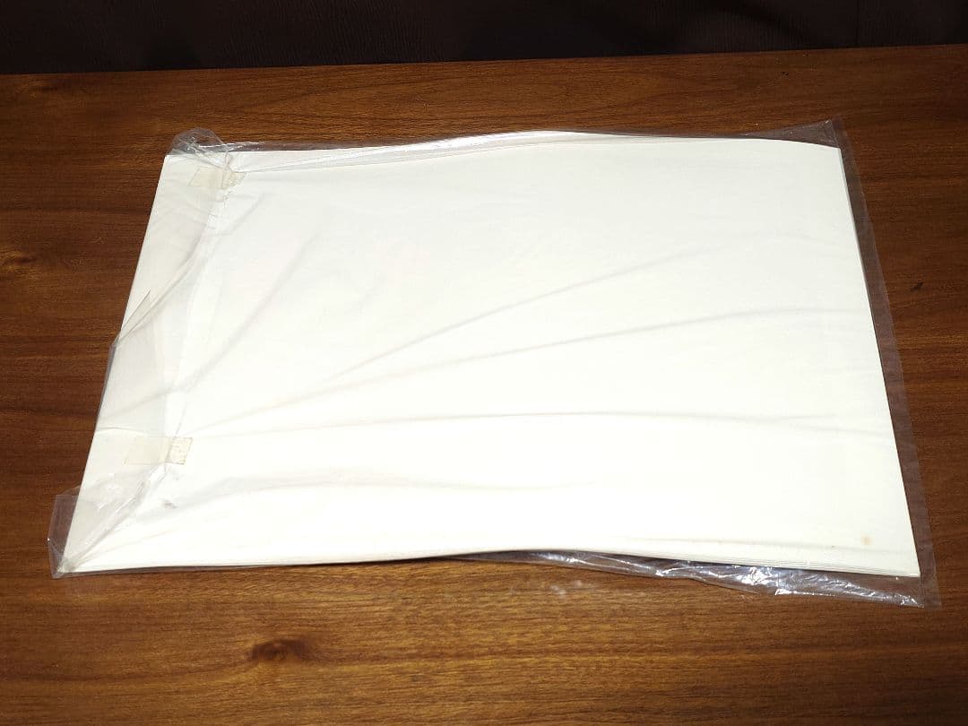 蟲師 二十景 漆原友紀 画集 蟲襖 講談社 完全受注生産