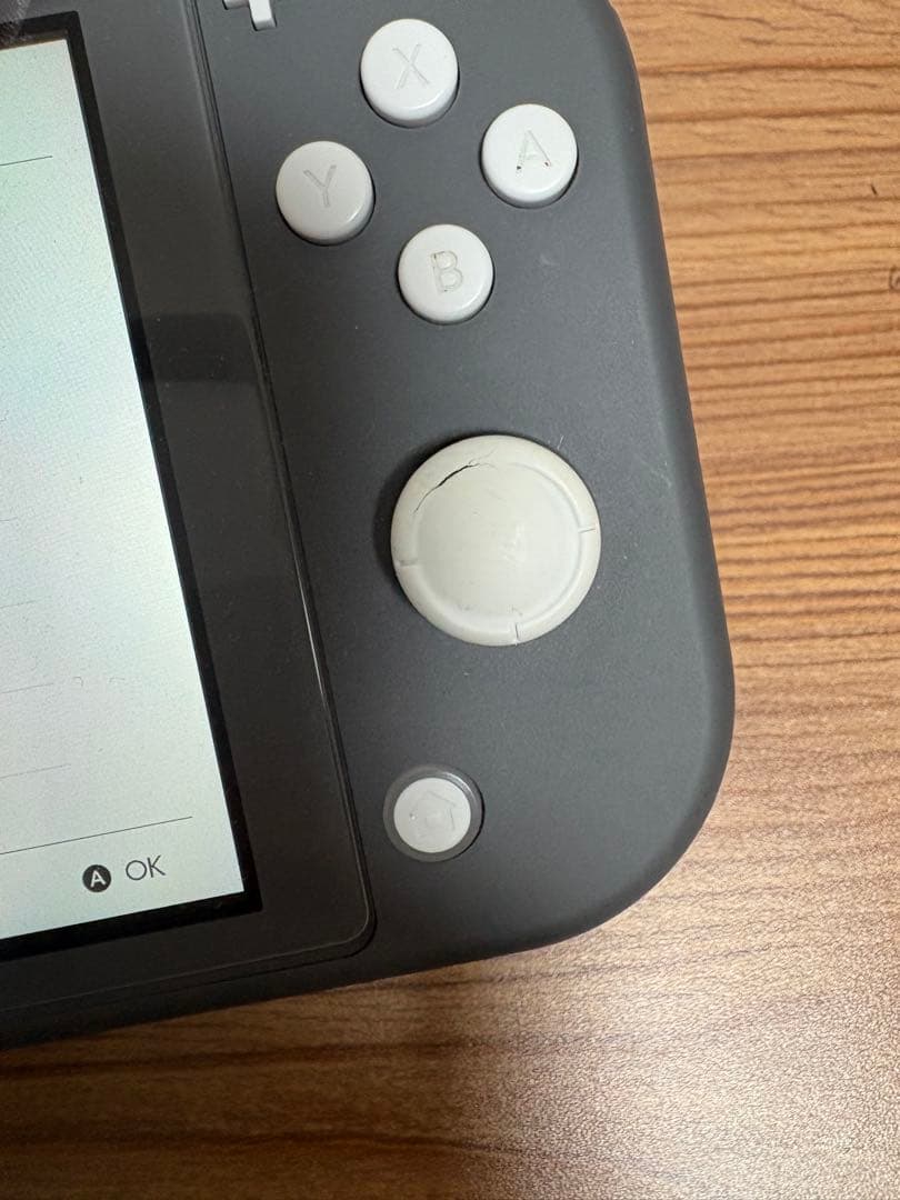 Switch Lite グレー