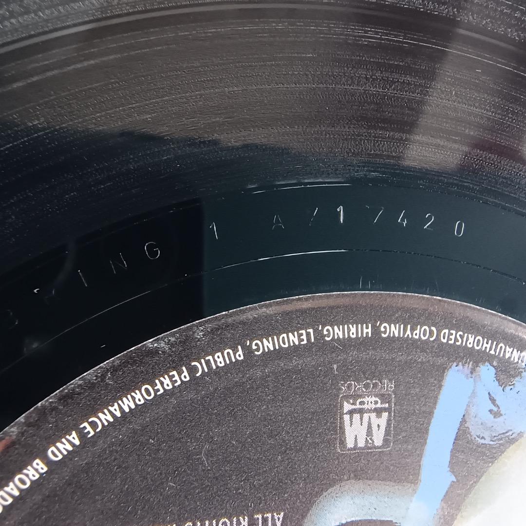 Bring On The Night 初回プレス2LP/STING