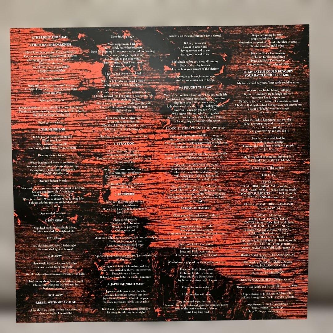 Palm / my darkest friends LP 限定盤
