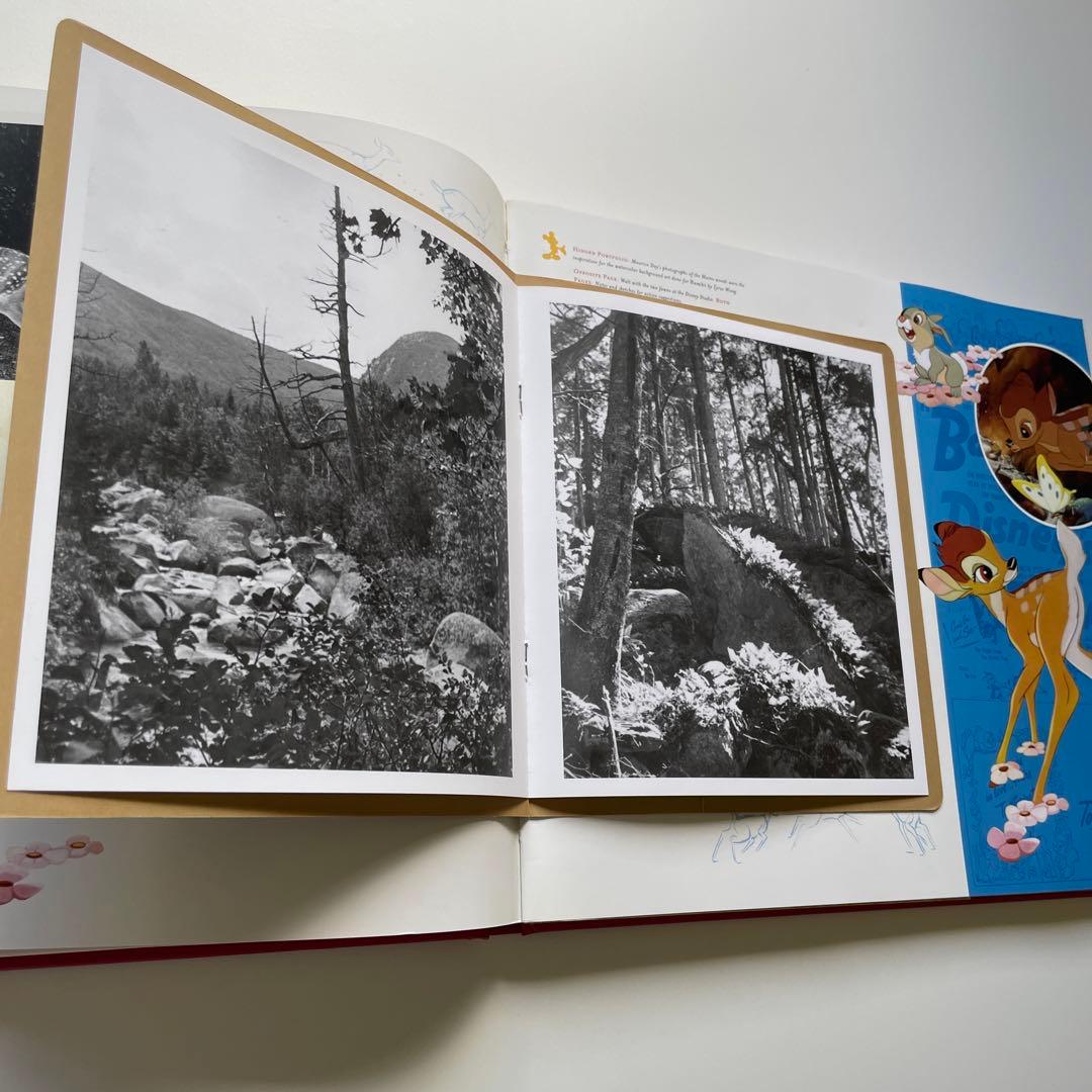 ディズニー洋書・記念品・アーカイブ「ディズニーブック」