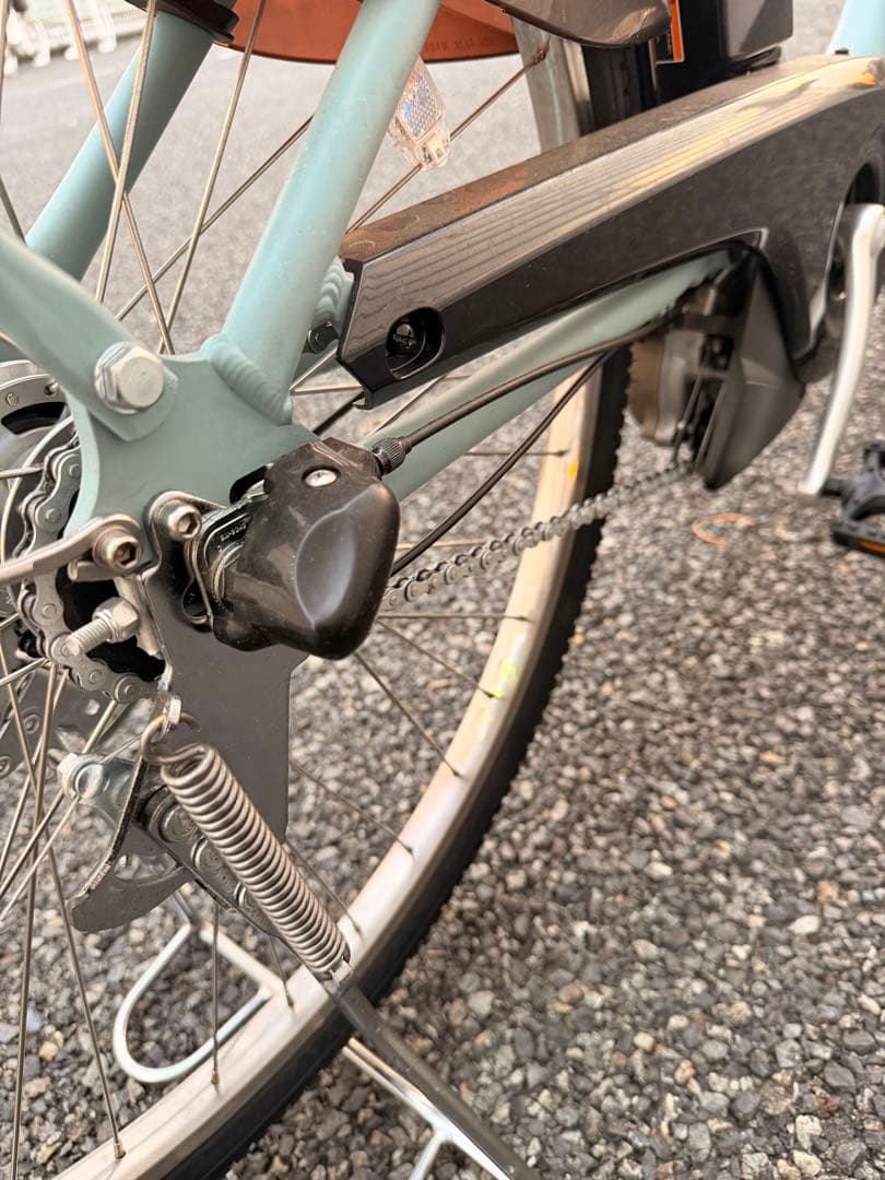 Roll Dem Bones 電動アシスト自転車　ヤマハ pas with
