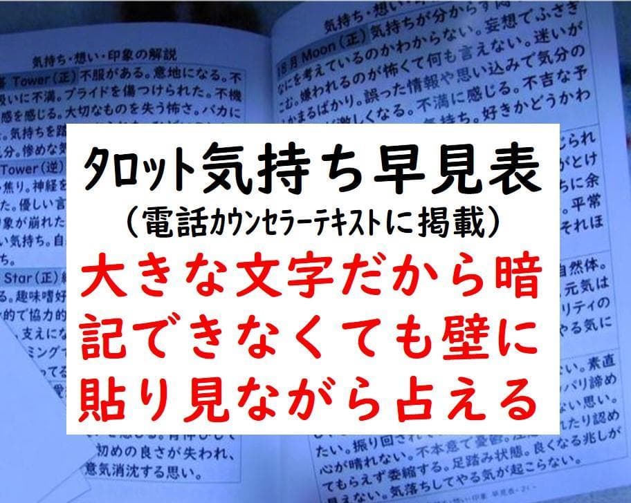 在宅ワーク 通信教材 安心のスキル習得 ㊙解説書３冊指導付