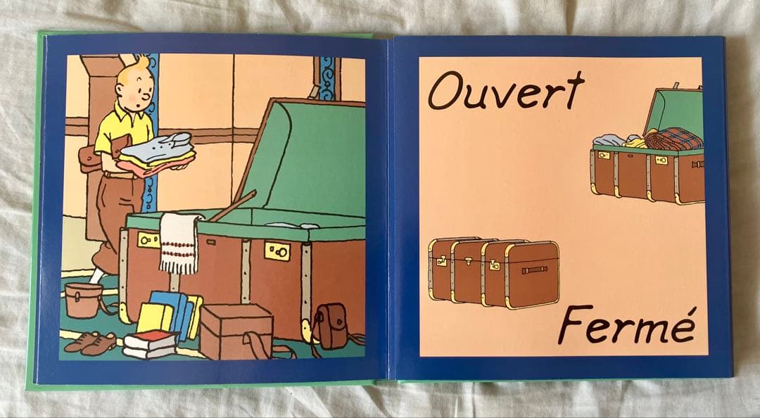 【希少】TINTIN タンタンの冒険　フランス語版　片観音構成 絵本3冊セット