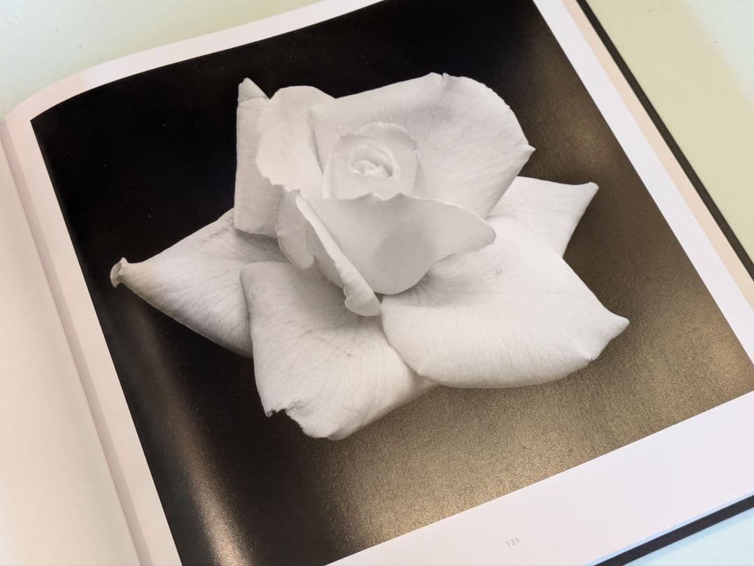 【新品】Flora Robert Mapplethorpe / メイプルソープ