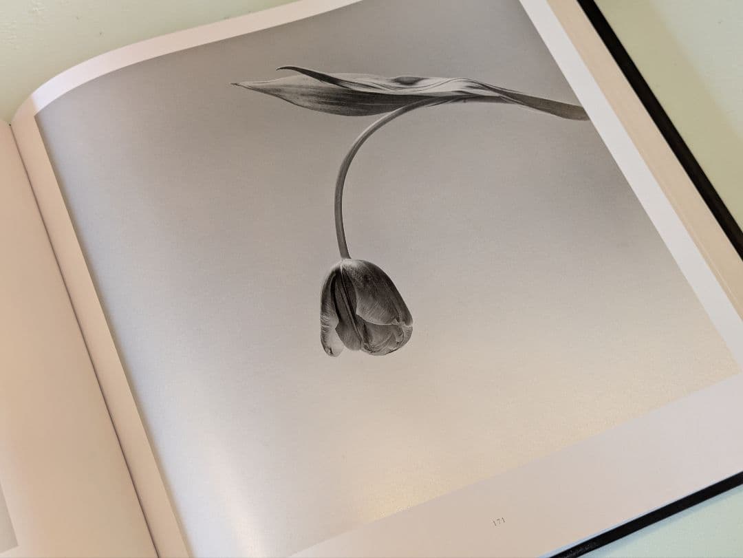 【新品】Flora Robert Mapplethorpe / メイプルソープ