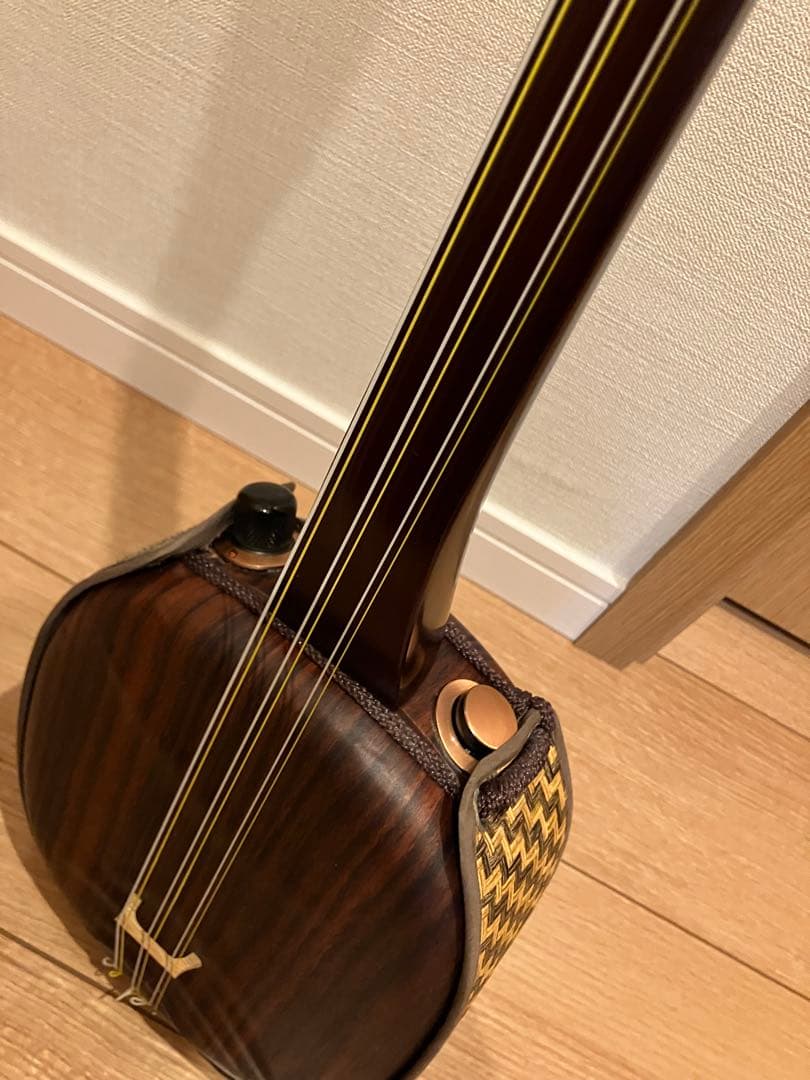 （アーコ）asovivaペグ三線 六弦 アンプ接続可