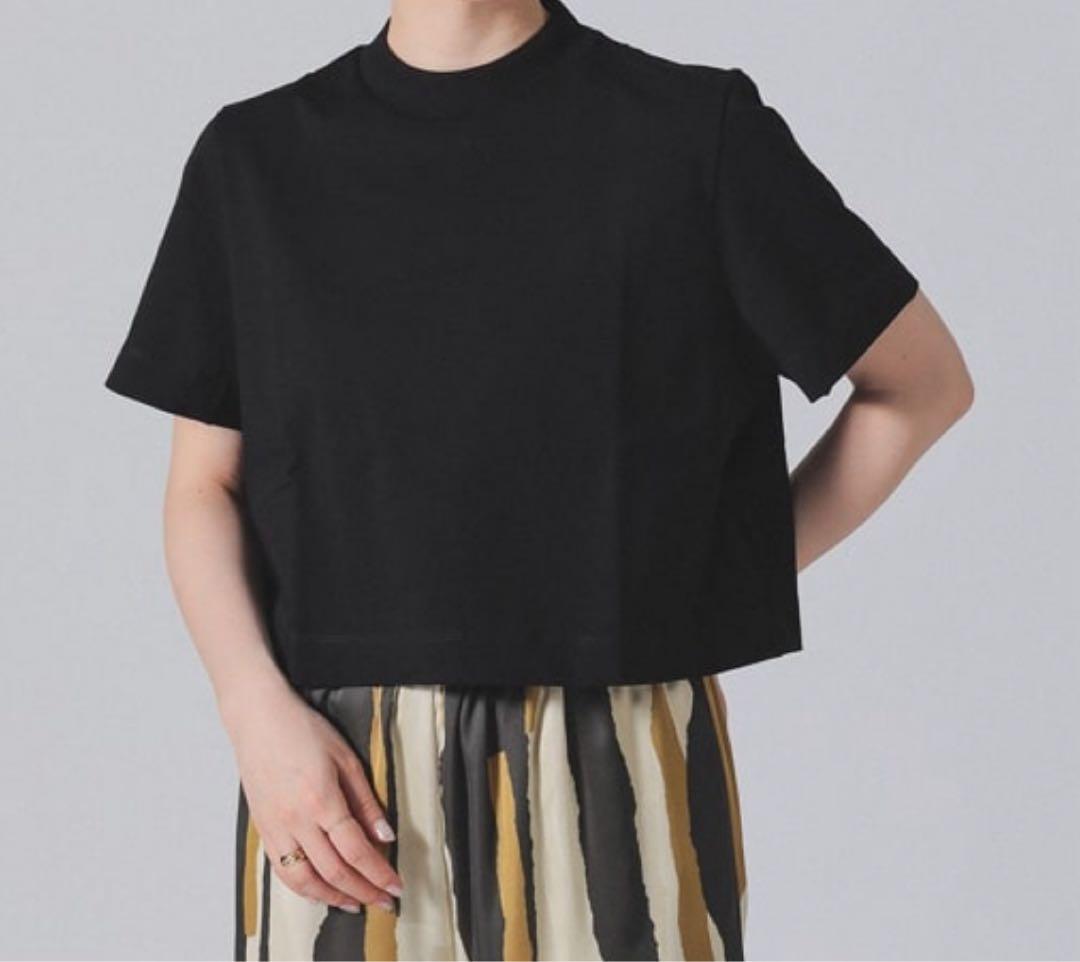 Demi-Luxe BEAMS/モックネックショートTシャツ