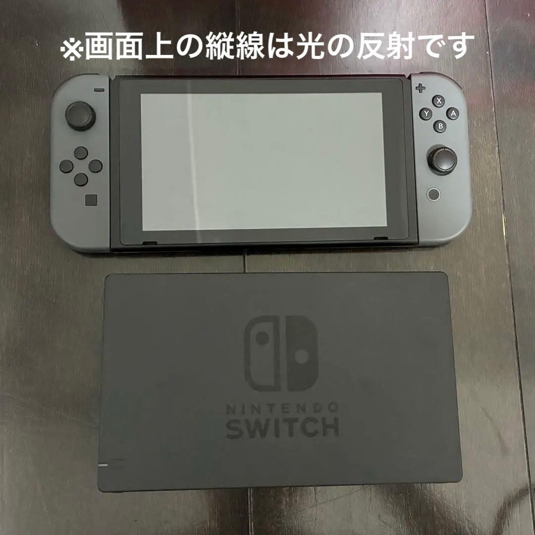 【完品・美品】Nintendo Switch 本体 グレー　ケース・保護フィルム