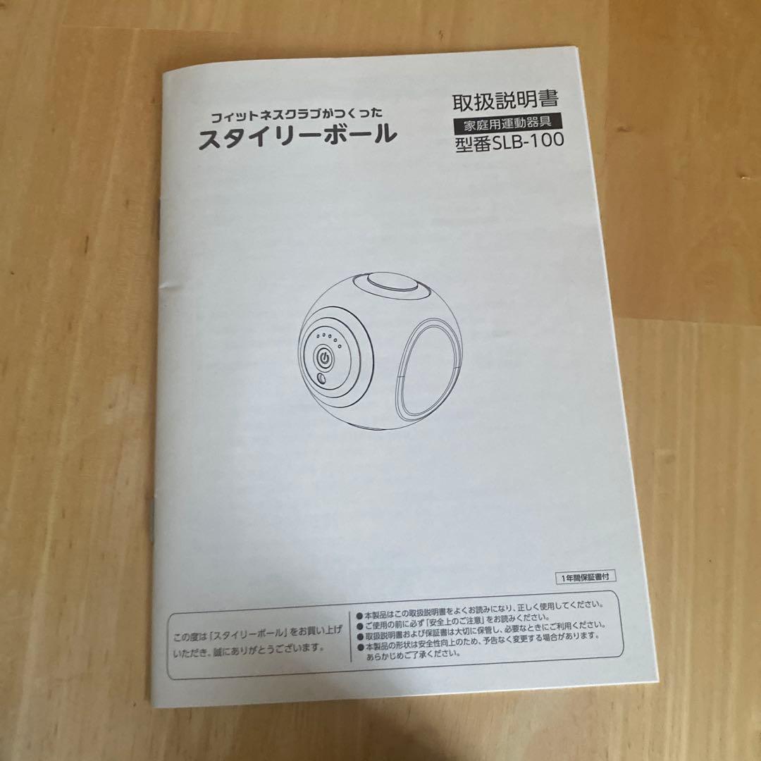 OASIS スタイリーボール 充電器・収納袋付き