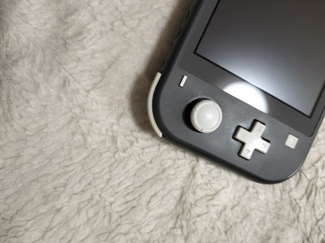 動作品 Nintendo Switch Lite グレー 本体 良品