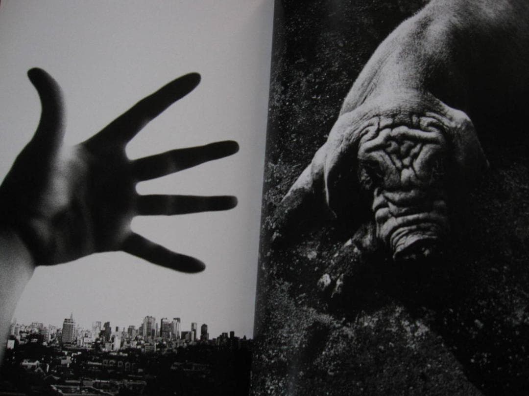 Daido Moriyama　The World through My Eyes