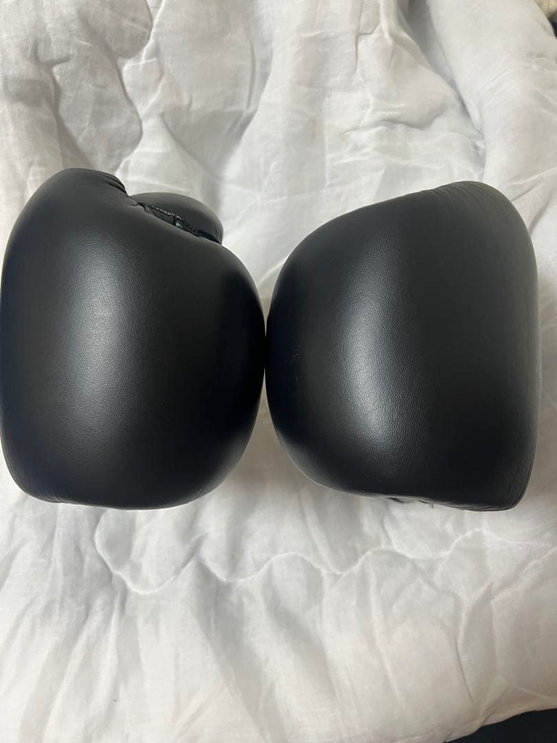 値下げ中！エバーラストMX2 トレーニンググローブ / 14oz