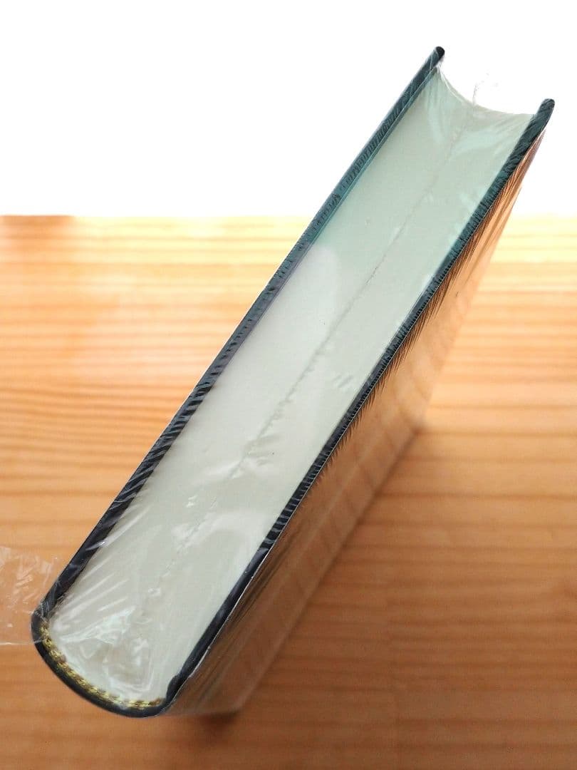 【新品】Der letze Ort Sherko Fatah Roman 本