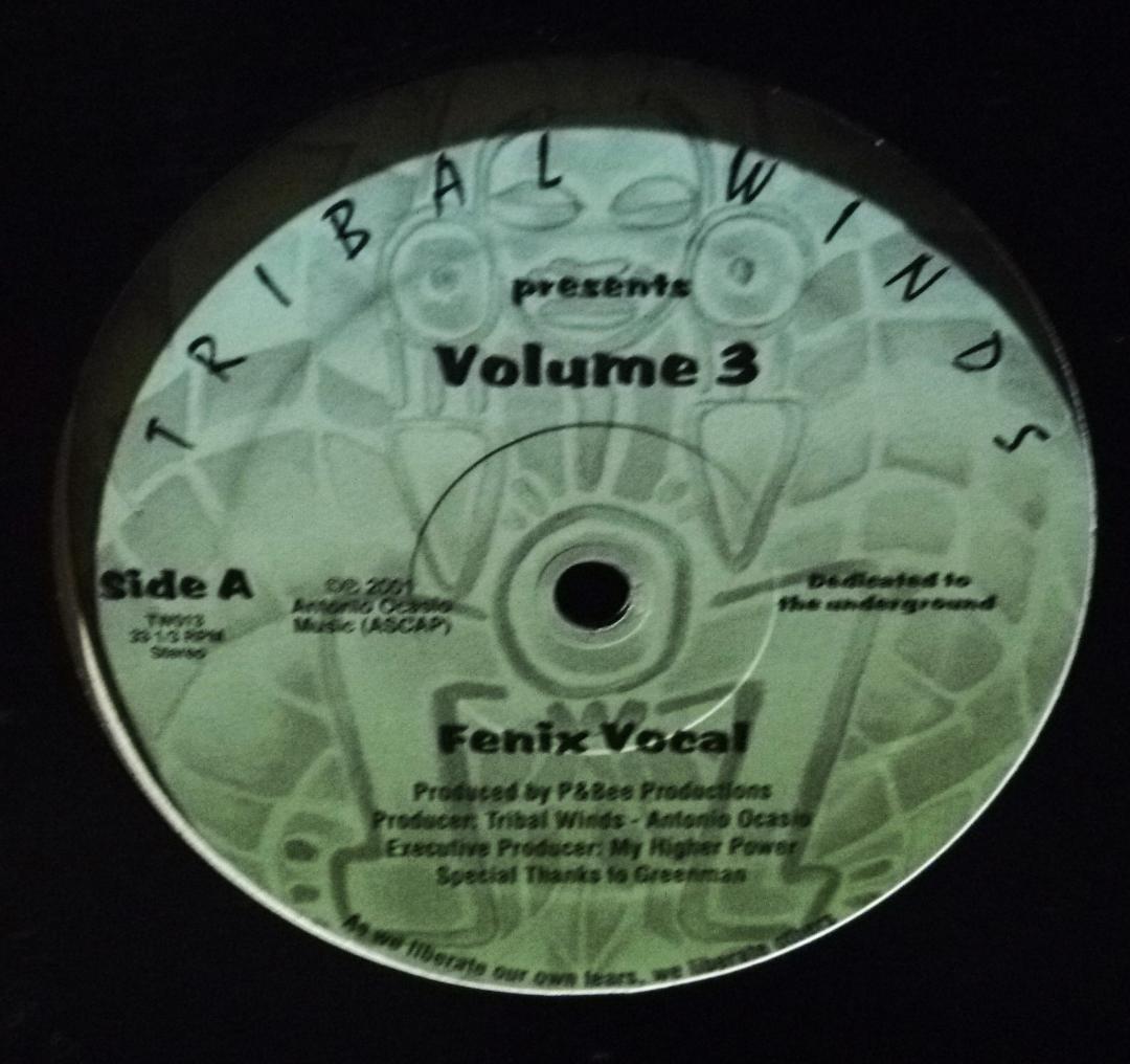 ☆ P & Bee Productions - Fenix / レコード